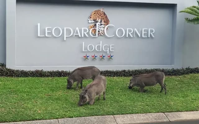 Leopard Corner Lodge